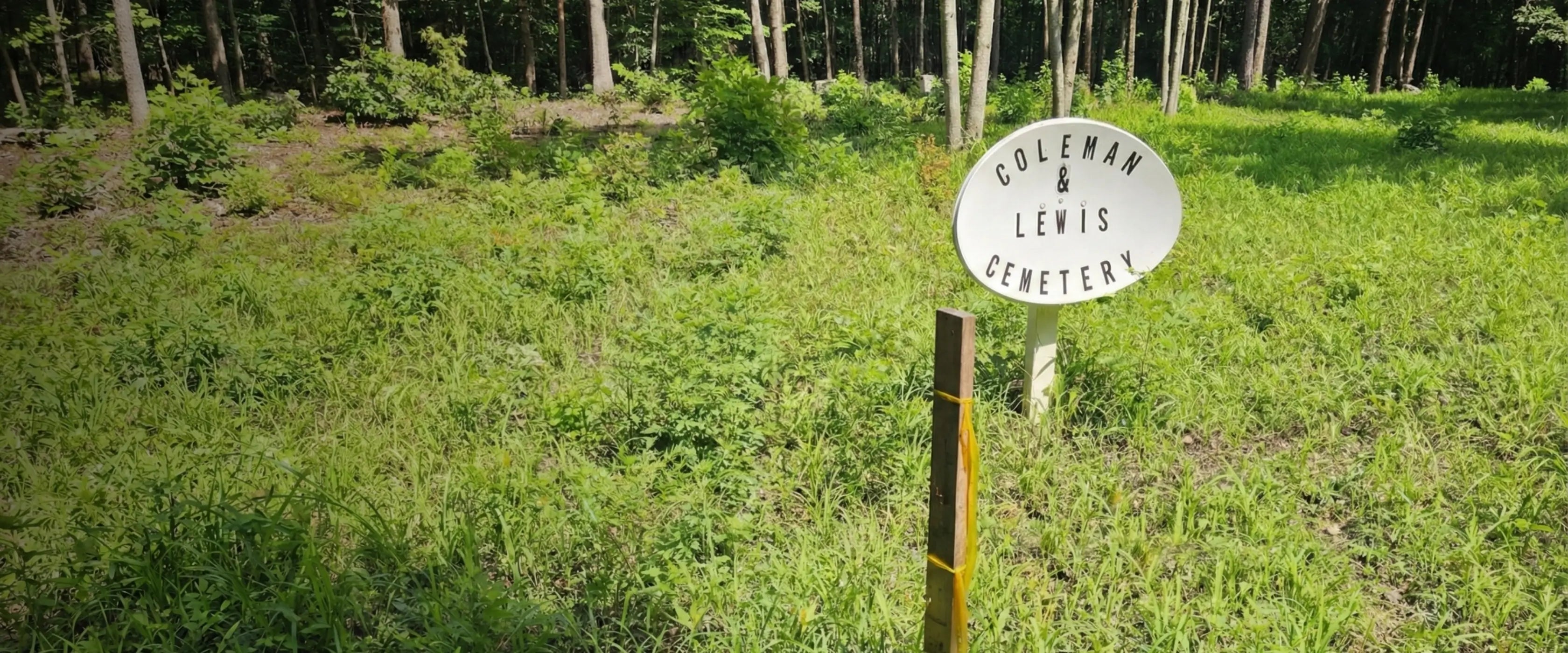 slider image 1621243260e1af0c20-0